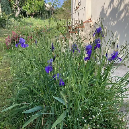Villa Les Figuiers Cagnes-sur-Mer Buitenkant foto