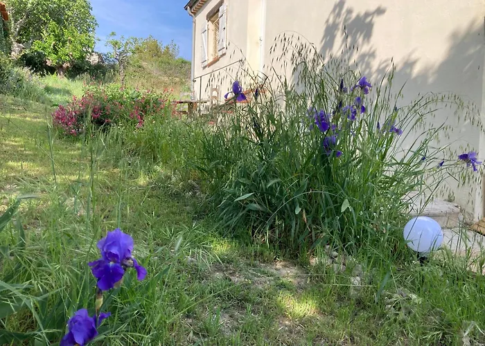 Villa Les Figuiers