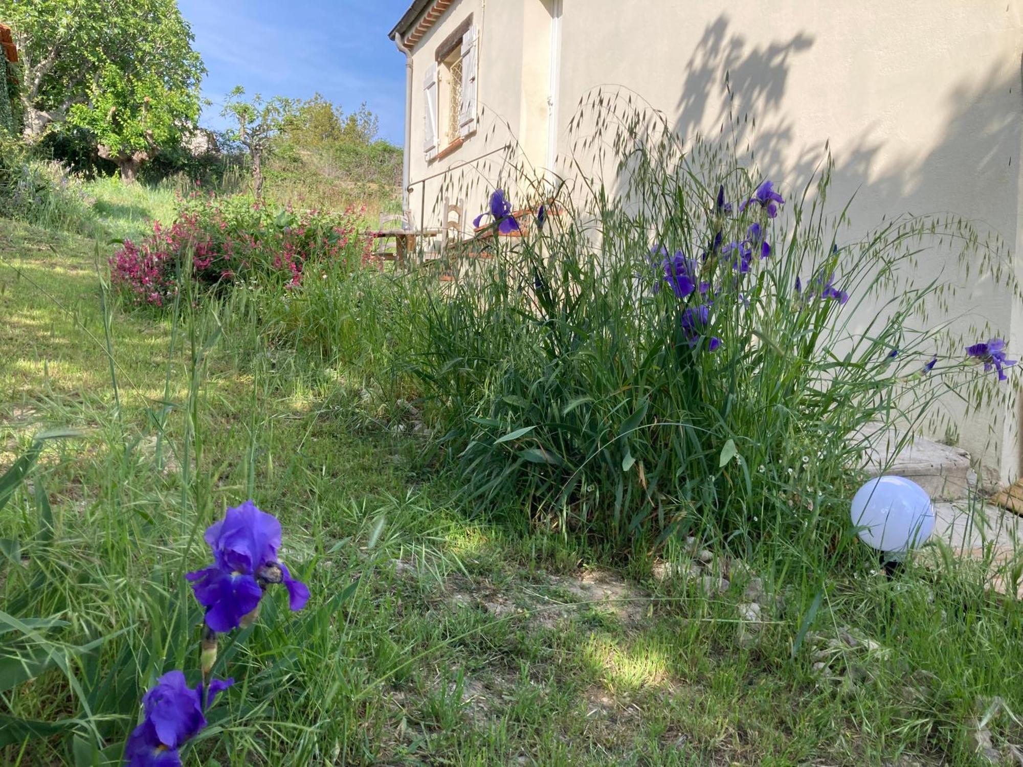 Vakantiehuis Les Figuiers *