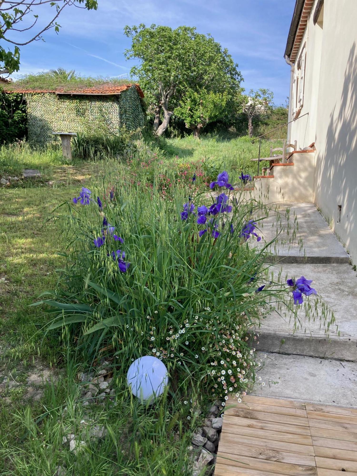 Holiday home Les Figuiers